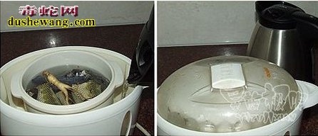 海蛇吃法:海蛇怎么做好吃功效好?
