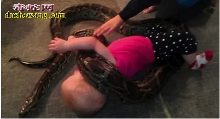 妈妈把孩子交给蛇友爷爷 结果看到这样一幕!