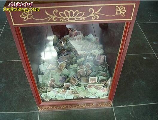 大肥猪长跪寺庙外!“笨猪”信佛是真的吗?