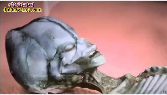 科学家解剖15年前智利发现的迷你外星人木乃伊，结果缺出人意料！