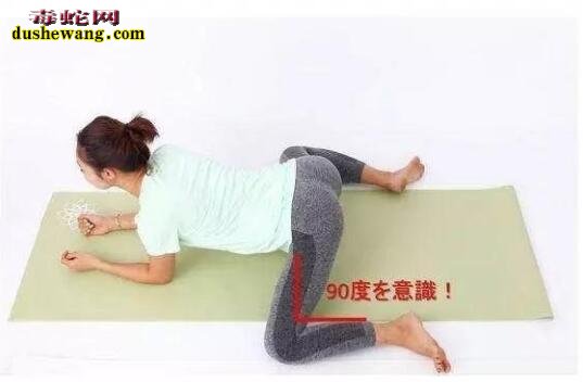 青蛙趴的正确姿势图解