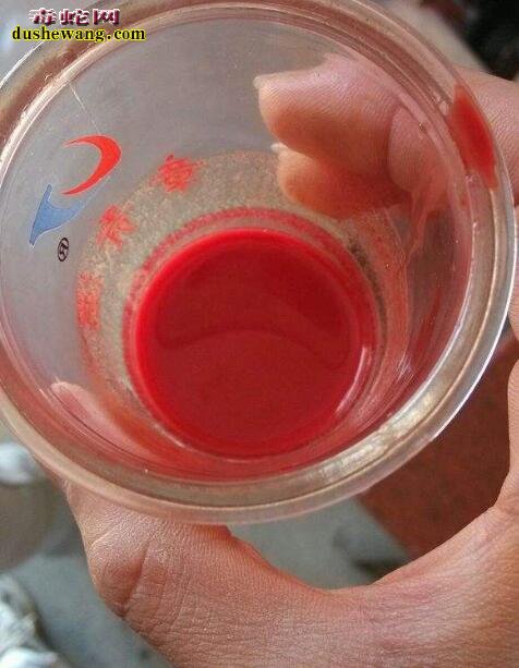 喝蛇血酒有什么危害?