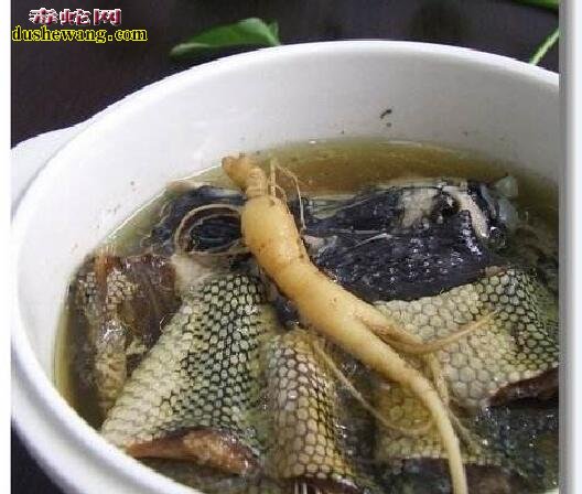 海蛇干怎样煲汤