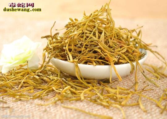 植物解蛇毒:解蛇毒的草药有哪些?