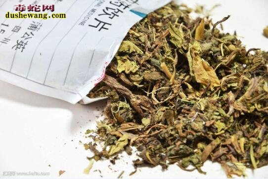 植物解蛇毒:解蛇毒的草药有哪些?