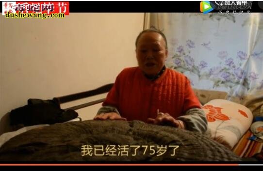 近日毕节村民捡到罕见大灵芝,大小如雨伞!