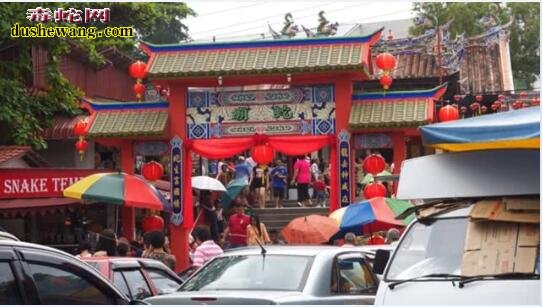 青龙庙:世界上唯一的“蛇庙”,万蛇齐聚不咬人!