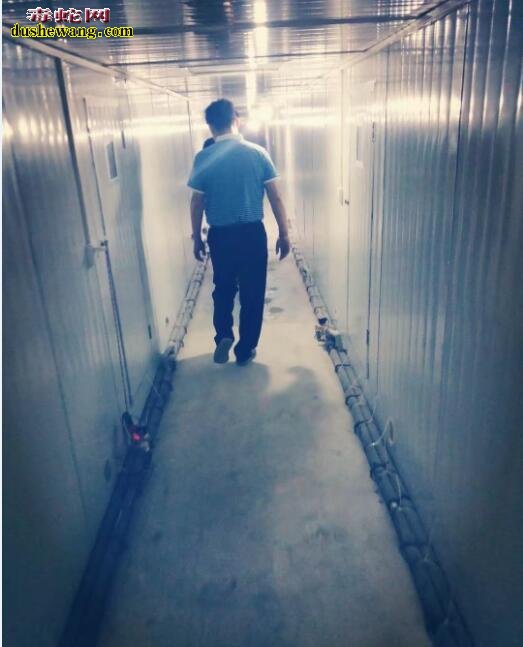 雷村蛇场湖北学员回访记之五:湖北仙桃