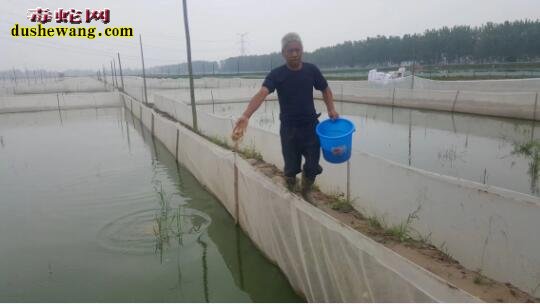 广西雷村蛇场湖北学员回访记之六：潜江市