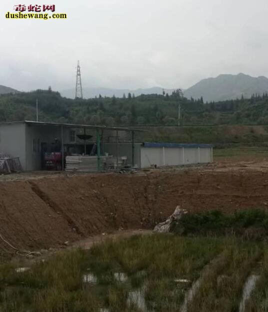 广西雷村蛇场湖北学员回访记之七:咸宁市