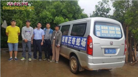 广西雷村蛇场湖北学员回访记之九:湖南邵阳