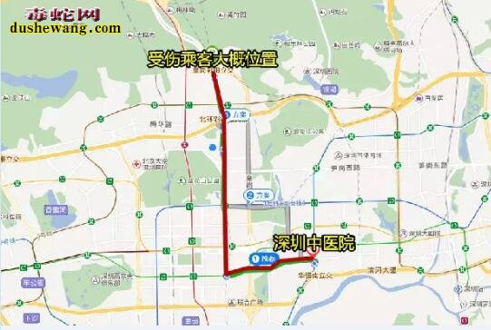深圳男子被毒蛇咬伤!遇上早高峰,警车开路救人!