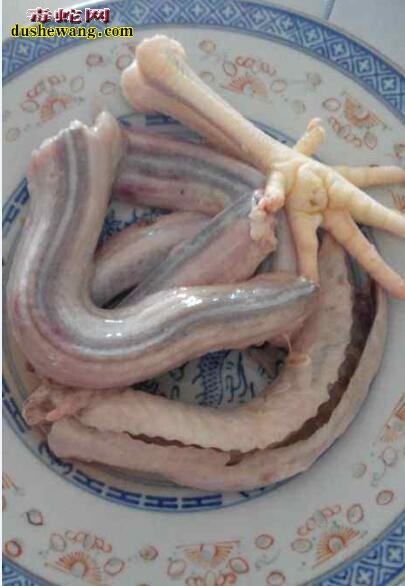 水蛇做法:水蛇怎么做好吃有营养