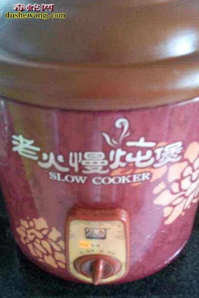 水蛇做法:水蛇怎么做好吃有营养