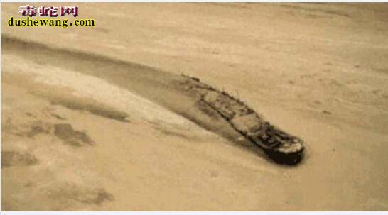 唯有“时空之门”可以解释！37年前沉船现身纳米比沙漠数百公里复地？