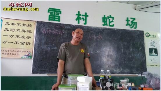 广西雷村蛇场第452期养蛇技术和毒蛇咬伤治疗培训班学习剪影