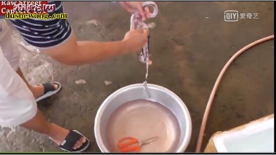 海蛇肉:来看看越南美食海蛇肉卷是怎么做的【带视频】