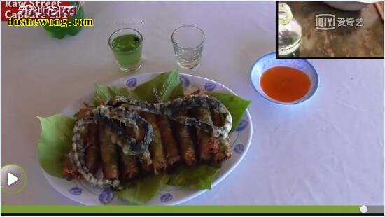 海蛇肉:来看看越南美食海蛇肉卷是怎么做的【带视频】
