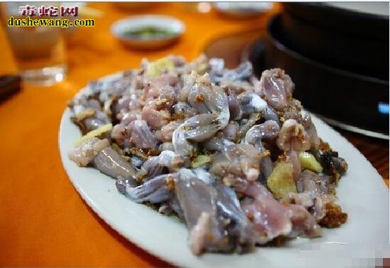 养殖蟾蜍销路怎么样?