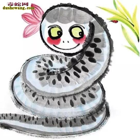 夏季毒蛇出没“谈蛇色变”蛇竟成了邪恶的化身!