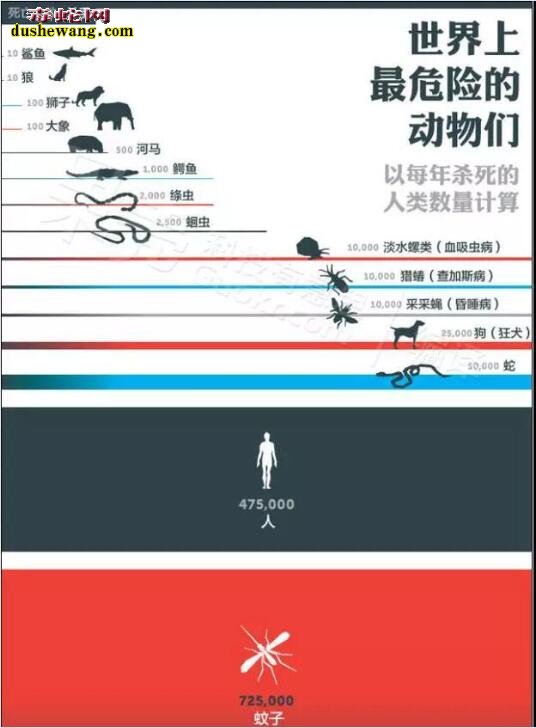 夏季毒蛇出没“谈蛇色变”蛇竟成了邪恶的化身！