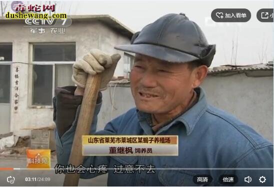 科技苑蝎子养殖技术视频