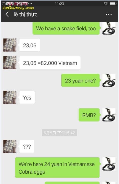2018年6月份越南国内眼镜蛇蛋价格行情，多少钱一个？