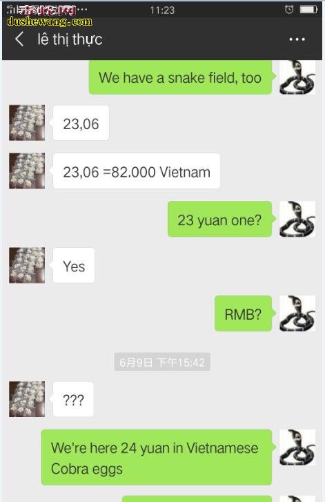 2018年6月份越南国内眼镜蛇蛋价格行情,多少钱一个?