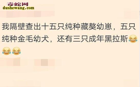 大学生宿舍养蛇不稀奇了 来看看不靠谱的宿舍都有哪些奇葩的东西！