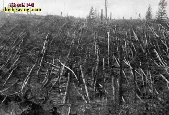 解密1908年通古斯大爆炸悬案 当年俄罗斯西伯利亚发生了什么?