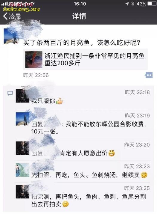 月亮鱼:温岭渔民捕获200斤怪鱼,当中竞拍3000元被浙江老板买走!