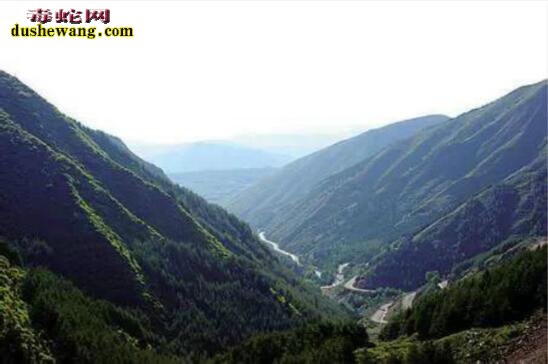 中国最恐怖的景区!死亡之地-瓦屋山迷魂函:近400年无人敢踏入!