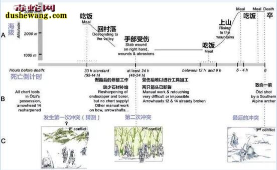 阿尔卑斯山发现冰封5300年前“奥茨冰人”八人接触似乎被诅咒全部死亡!