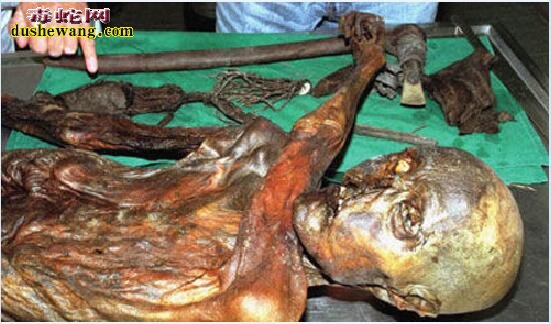 阿尔卑斯山发现冰封5300年前“奥茨冰人”八人接触似乎被诅咒全部死亡!