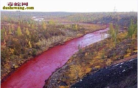 中国最诡异河流-赤水河！河两岸毒蛇密布，下雨后河水如鲜血！