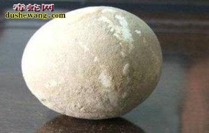 千年古墓中发现完好鸡蛋!网友问能不能孵出古代小鸡来?