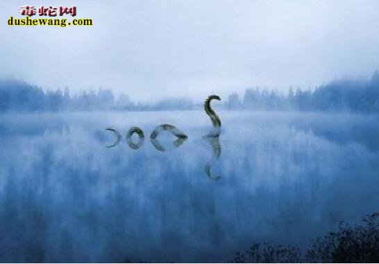 导读:十大神秘生物:传说中的十大神秘生物都有哪些?是否存在?世界之大无奇不有,地球经过亿万年的变化,气候的变迁,各种动物为了生存而进化,出现一些奇特的神秘生物也不是不可能的事情。今天,毒蛇网奇闻小编就来给大家分享一下,传说中的十大神秘生物都有哪些,这些传说已久的神秘生物是否真的存在呢?下面一起来看看: 一、天使猫 飞猫,也被称为“天使猫”,是一种长着蝙蝠翅膀的猫。目前为止还是一个神秘的物种。从20世纪开始,就有不少人发现过这种动物。但是,对这种动物的是否真的存在仍然存在争议。也有专家指出,可能是一种杂种或变异生物。 二、雷鸟 雷鸟(Thunderbird)是美洲原住民传说的一种巨大神鸟,形似老鹰,翅膀有独木舟的桨那么长,当他振翅高飞时,就会风雷乍起,他的眼皮翕张之间,会放出万道闪电,是以巨鸟形象出现的雷、闪电和雨的精灵,和现实生活中存在的雷鸟并无关系。 三、野人 野人是一种存在于世界各地,未被证实存在的高等灵长目动物,直立行走,比猿类高等,具有一定的智能。其较为正式的学术名称是“直立高等灵长目奇异动物”。古人类学认为野人可能是远古智人进化到现代人之间缺失的一环,故有生物学家将其分类为人科人属但并非智人种,与现代人类有最近的亲缘关系。“野人”是众多传说的神秘动物中最可能真实存在的一种。对于“野人”,世界上不同地方有不同的称呼,如“雪人”“雪怪”“大脚怪”等。 四、卓柏卡布拉 卓柏卡布拉(西班牙语:Chupacabra),一种被怀疑存在于美洲的吸血动物。最早被发现在1990年代初波多黎各出现,后来在墨西哥及美国南部(尤其在拉美裔社区)也传说出现,会攻击并吸食牲畜的血。 五、尼斯湖水怪 尼斯湖水怪是生活在英国苏格兰尼斯湖的传疑生物。它的形象一向都是蛇颈龙一般的生物。此怪每年都吸引世界各地的游客前往参观,希望能一睹水怪真面目;同时也吸引着许多科学家和探险者的目光,数百年来已经有无数次的搜捕水怪行动,尽管最后都是以失败告终。 1934年4月,伦敦医生威尔逊于尼斯湖拍下水怪照片,并一直被当作是尼斯湖水怪存在的最有力证据,但后来当事人之一的克里斯蒂安·斯堡林出面说明尼斯湖水怪只是一场恶作剧。1982年,英国一位叫斯图尔特·坎贝尔的科普作家用数学几何图形的计算,让威尔逊在临终前说出了真相:照片是他用玩具潜水艇模型拍的。 六、泽西恶魔 泽西恶魔是传说中的两足有蹄类飞行生物,身长1至1.8米、全身覆盖黑毛、头部似马、以及深红色的眼睛、蝙蝠般的翅膀,据传出没于南新泽西州的松林泥炭地。 七、天蛾人 天蛾人(Mothman)是一种传说中的生物。传说中出没于美国西维吉尼亚州的森林。状似人,有翼,有一对可怕的会发红光的眼。有人说天蛾人没有头,该是人类双肩的位置各有一只大眼,高达7英尺,并能以80英里的速度飞行。1960年代美国即有报告,并引起FBI的正式调查,中国则早在20世纪20年代也有人目击天蛾人在空中飞行。 八、多佛魔鬼 多佛恶魔(Dover Demon)是传说中的生物。最早被目击于1977年4月21日的美国马萨诸塞州多佛(Dover, Massachusetts)。有关多佛恶魔的描述有点类似于外星人,全身无毛,头很大,眼睛还是橙色。 九、英国大猫 英国大猫(British big cats),是一种在苏格兰、英格兰荒郊和乡村游荡着的神秘的大型猫科动物。踪迹十分隐蔽。自2002年以来就有数千宗“大猫”的目击事件发生。目击者声称,这是一种“黑色、狮子一般“"像猫,黑毛,油光锃亮”的动物。据此英国民间成立英国大猫会,接插和收集目击资料,目的是“找出并保护”它们。 十、爱兰青蛙人 爱兰青蛙人为有蹼、直立行走的生物,因首次被发现出没在俄亥俄州的 Loveland( 地名中译:拉夫兰 ),故而得名。但基本目击报告所堆砌出来的生物谣言。 十一、鸮人 鸮人(Owlman), 有时也称为康沃尔鸮人(Cornish Owlman)或莫南的鸮人(The Owlman of Mawnan),是在1976年中旬前后于莫南村发现的神秘生物,有时候鸮人时常与美国的天蛾人相提并论。 十二、本耶普 本耶普,又译宾页(bunyip),是一种澳洲传说的神秘生物。自澳洲殖民开始,就已经有多种有关本耶普的说法。就像其他已灭绝的动物一样,在澳洲原住民的神话中也有对本耶普的记载。 十三、比利猿 比利猿(英语:Bili Ape),又称邦多神秘猿(Bondo Mystery Ape),是一种生活在刚果民主共和国比利森林(Bili Forest)里的一种大型灵长类猿类动物或另一种传说生物。“这种猿类像大猩猩一样生活在地面上,但是又具有类似黑猩猩的食谱和特征。”《国家地理杂志》的一位记者说。用无核DNA做的初步基因测试表明,这种猿类和黑猩猩的Pan troglodytes schweinfurthii亚种关系很近。但是它们的行为和大猩猩又很像,这让世界各地的灵长类专家都十分好奇,因为这种猿类兼有黑猩猩和大猩猩的某些特点,人们对于这种猿类的分类仍有疑问及争议。 十四、驴头狼 驴头狼是传说生活在中国湖北省神农架的一种驴头狼身的怪物,体形和毛驴差不多,但有四支像狼的利爪。是一种食肉动物,在1960年代,有不少人声称见过此种动物。不少生物学家认为驴头狼是史前动物沙犷,主要生活在距今450万至700万年的欧洲、亚洲以及非洲大陆上。 十五、海伦娜海牛 海伦娜海牛,或译赫勒拿海牛(英语:Manatee of Helena),是曾经生存于圣赫勒拿岛的一种神秘生物,据信,在该岛被殖民之前有一个大的海牛种群。与已知海牛不同,海伦娜海牛是半水生的,有时会像海豹一样登上陆地。目前并无证据能证明它们的存在,只有两起目击报告在案。 十六、植物羊 植物羊是一种传说中的植形动物,在古代中国和欧洲典籍都有记载。 十七、食人树 食人树指不同传说中的食肉植物,其体型庞大得能够杀死甚至吞噬一个人类或其它大型动物。纵使有着各种不能肯定的有关报告记载,目前为止没有此类植物的具体存在证据。