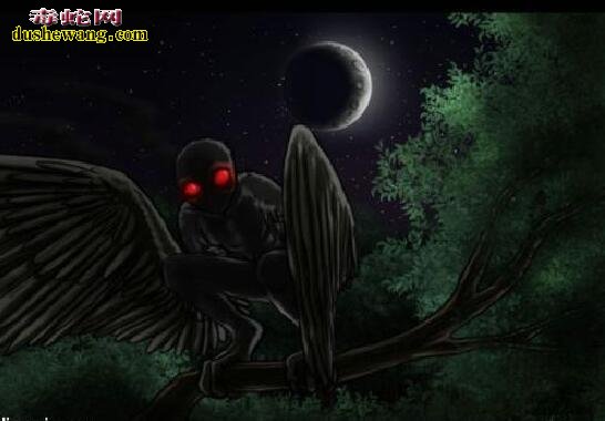 导读:十大神秘生物:传说中的十大神秘生物都有哪些?是否存在?世界之大无奇不有,地球经过亿万年的变化,气候的变迁,各种动物为了生存而进化,出现一些奇特的神秘生物也不是不可能的事情。今天,毒蛇网奇闻小编就来给大家分享一下,传说中的十大神秘生物都有哪些,这些传说已久的神秘生物是否真的存在呢?下面一起来看看: 一、天使猫 飞猫,也被称为“天使猫”,是一种长着蝙蝠翅膀的猫。目前为止还是一个神秘的物种。从20世纪开始,就有不少人发现过这种动物。但是,对这种动物的是否真的存在仍然存在争议。也有专家指出,可能是一种杂种或变异生物。 二、雷鸟 雷鸟(Thunderbird)是美洲原住民传说的一种巨大神鸟,形似老鹰,翅膀有独木舟的桨那么长,当他振翅高飞时,就会风雷乍起,他的眼皮翕张之间,会放出万道闪电,是以巨鸟形象出现的雷、闪电和雨的精灵,和现实生活中存在的雷鸟并无关系。 三、野人 野人是一种存在于世界各地,未被证实存在的高等灵长目动物,直立行走,比猿类高等,具有一定的智能。其较为正式的学术名称是“直立高等灵长目奇异动物”。古人类学认为野人可能是远古智人进化到现代人之间缺失的一环,故有生物学家将其分类为人科人属但并非智人种,与现代人类有最近的亲缘关系。“野人”是众多传说的神秘动物中最可能真实存在的一种。对于“野人”,世界上不同地方有不同的称呼,如“雪人”“雪怪”“大脚怪”等。 四、卓柏卡布拉 卓柏卡布拉(西班牙语:Chupacabra),一种被怀疑存在于美洲的吸血动物。最早被发现在1990年代初波多黎各出现,后来在墨西哥及美国南部(尤其在拉美裔社区)也传说出现,会攻击并吸食牲畜的血。 五、尼斯湖水怪 尼斯湖水怪是生活在英国苏格兰尼斯湖的传疑生物。它的形象一向都是蛇颈龙一般的生物。此怪每年都吸引世界各地的游客前往参观,希望能一睹水怪真面目;同时也吸引着许多科学家和探险者的目光,数百年来已经有无数次的搜捕水怪行动,尽管最后都是以失败告终。 1934年4月,伦敦医生威尔逊于尼斯湖拍下水怪照片,并一直被当作是尼斯湖水怪存在的最有力证据,但后来当事人之一的克里斯蒂安·斯堡林出面说明尼斯湖水怪只是一场恶作剧。1982年,英国一位叫斯图尔特·坎贝尔的科普作家用数学几何图形的计算,让威尔逊在临终前说出了真相:照片是他用玩具潜水艇模型拍的。 六、泽西恶魔 泽西恶魔是传说中的两足有蹄类飞行生物,身长1至1.8米、全身覆盖黑毛、头部似马、以及深红色的眼睛、蝙蝠般的翅膀,据传出没于南新泽西州的松林泥炭地。 七、天蛾人 天蛾人(Mothman)是一种传说中的生物。传说中出没于美国西维吉尼亚州的森林。状似人,有翼,有一对可怕的会发红光的眼。有人说天蛾人没有头,该是人类双肩的位置各有一只大眼,高达7英尺,并能以80英里的速度飞行。1960年代美国即有报告,并引起FBI的正式调查,中国则早在20世纪20年代也有人目击天蛾人在空中飞行。 八、多佛魔鬼 多佛恶魔(Dover Demon)是传说中的生物。最早被目击于1977年4月21日的美国马萨诸塞州多佛(Dover, Massachusetts)。有关多佛恶魔的描述有点类似于外星人,全身无毛,头很大,眼睛还是橙色。 九、英国大猫 英国大猫(British big cats),是一种在苏格兰、英格兰荒郊和乡村游荡着的神秘的大型猫科动物。踪迹十分隐蔽。自2002年以来就有数千宗“大猫”的目击事件发生。目击者声称,这是一种“黑色、狮子一般“"像猫,黑毛,油光锃亮”的动物。据此英国民间成立英国大猫会,接插和收集目击资料,目的是“找出并保护”它们。 十、爱兰青蛙人 爱兰青蛙人为有蹼、直立行走的生物,因首次被发现出没在俄亥俄州的 Loveland( 地名中译:拉夫兰 ),故而得名。但基本目击报告所堆砌出来的生物谣言。 十一、鸮人 鸮人(Owlman), 有时也称为康沃尔鸮人(Cornish Owlman)或莫南的鸮人(The Owlman of Mawnan),是在1976年中旬前后于莫南村发现的神秘生物,有时候鸮人时常与美国的天蛾人相提并论。 十二、本耶普 本耶普,又译宾页(bunyip),是一种澳洲传说的神秘生物。自澳洲殖民开始,就已经有多种有关本耶普的说法。就像其他已灭绝的动物一样,在澳洲原住民的神话中也有对本耶普的记载。 十三、比利猿 比利猿(英语:Bili Ape),又称邦多神秘猿(Bondo Mystery Ape),是一种生活在刚果民主共和国比利森林(Bili Forest)里的一种大型灵长类猿类动物或另一种传说生物。“这种猿类像大猩猩一样生活在地面上,但是又具有类似黑猩猩的食谱和特征。”《国家地理杂志》的一位记者说。用无核DNA做的初步基因测试表明,这种猿类和黑猩猩的Pan troglodytes schweinfurthii亚种关系很近。但是它们的行为和大猩猩又很像,这让世界各地的灵长类专家都十分好奇,因为这种猿类兼有黑猩猩和大猩猩的某些特点,人们对于这种猿类的分类仍有疑问及争议。 十四、驴头狼 驴头狼是传说生活在中国湖北省神农架的一种驴头狼身的怪物,体形和毛驴差不多,但有四支像狼的利爪。是一种食肉动物,在1960年代,有不少人声称见过此种动物。不少生物学家认为驴头狼是史前动物沙犷,主要生活在距今450万至700万年的欧洲、亚洲以及非洲大陆上。 十五、海伦娜海牛 海伦娜海牛,或译赫勒拿海牛(英语:Manatee of Helena),是曾经生存于圣赫勒拿岛的一种神秘生物,据信,在该岛被殖民之前有一个大的海牛种群。与已知海牛不同,海伦娜海牛是半水生的,有时会像海豹一样登上陆地。目前并无证据能证明它们的存在,只有两起目击报告在案。 十六、植物羊 植物羊是一种传说中的植形动物,在古代中国和欧洲典籍都有记载。 十七、食人树 食人树指不同传说中的食肉植物,其体型庞大得能够杀死甚至吞噬一个人类或其它大型动物。纵使有着各种不能肯定的有关报告记载,目前为止没有此类植物的具体存在证据。