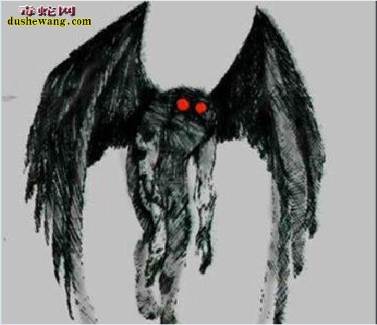 导读:十大神秘生物:传说中的十大神秘生物都有哪些?是否存在?世界之大无奇不有,地球经过亿万年的变化,气候的变迁,各种动物为了生存而进化,出现一些奇特的神秘生物也不是不可能的事情。今天,毒蛇网奇闻小编就来给大家分享一下,传说中的十大神秘生物都有哪些,这些传说已久的神秘生物是否真的存在呢?下面一起来看看: 一、天使猫 飞猫,也被称为“天使猫”,是一种长着蝙蝠翅膀的猫。目前为止还是一个神秘的物种。从20世纪开始,就有不少人发现过这种动物。但是,对这种动物的是否真的存在仍然存在争议。也有专家指出,可能是一种杂种或变异生物。 二、雷鸟 雷鸟(Thunderbird)是美洲原住民传说的一种巨大神鸟,形似老鹰,翅膀有独木舟的桨那么长,当他振翅高飞时,就会风雷乍起,他的眼皮翕张之间,会放出万道闪电,是以巨鸟形象出现的雷、闪电和雨的精灵,和现实生活中存在的雷鸟并无关系。 三、野人 野人是一种存在于世界各地,未被证实存在的高等灵长目动物,直立行走,比猿类高等,具有一定的智能。其较为正式的学术名称是“直立高等灵长目奇异动物”。古人类学认为野人可能是远古智人进化到现代人之间缺失的一环,故有生物学家将其分类为人科人属但并非智人种,与现代人类有最近的亲缘关系。“野人”是众多传说的神秘动物中最可能真实存在的一种。对于“野人”,世界上不同地方有不同的称呼,如“雪人”“雪怪”“大脚怪”等。 四、卓柏卡布拉 卓柏卡布拉(西班牙语:Chupacabra),一种被怀疑存在于美洲的吸血动物。最早被发现在1990年代初波多黎各出现,后来在墨西哥及美国南部(尤其在拉美裔社区)也传说出现,会攻击并吸食牲畜的血。 五、尼斯湖水怪 尼斯湖水怪是生活在英国苏格兰尼斯湖的传疑生物。它的形象一向都是蛇颈龙一般的生物。此怪每年都吸引世界各地的游客前往参观,希望能一睹水怪真面目;同时也吸引着许多科学家和探险者的目光,数百年来已经有无数次的搜捕水怪行动,尽管最后都是以失败告终。 1934年4月,伦敦医生威尔逊于尼斯湖拍下水怪照片,并一直被当作是尼斯湖水怪存在的最有力证据,但后来当事人之一的克里斯蒂安·斯堡林出面说明尼斯湖水怪只是一场恶作剧。1982年,英国一位叫斯图尔特·坎贝尔的科普作家用数学几何图形的计算,让威尔逊在临终前说出了真相:照片是他用玩具潜水艇模型拍的。 六、泽西恶魔 泽西恶魔是传说中的两足有蹄类飞行生物,身长1至1.8米、全身覆盖黑毛、头部似马、以及深红色的眼睛、蝙蝠般的翅膀,据传出没于南新泽西州的松林泥炭地。 七、天蛾人 天蛾人(Mothman)是一种传说中的生物。传说中出没于美国西维吉尼亚州的森林。状似人,有翼,有一对可怕的会发红光的眼。有人说天蛾人没有头,该是人类双肩的位置各有一只大眼,高达7英尺,并能以80英里的速度飞行。1960年代美国即有报告,并引起FBI的正式调查,中国则早在20世纪20年代也有人目击天蛾人在空中飞行。 八、多佛魔鬼 多佛恶魔(Dover Demon)是传说中的生物。最早被目击于1977年4月21日的美国马萨诸塞州多佛(Dover, Massachusetts)。有关多佛恶魔的描述有点类似于外星人,全身无毛,头很大,眼睛还是橙色。 九、英国大猫 英国大猫(British big cats),是一种在苏格兰、英格兰荒郊和乡村游荡着的神秘的大型猫科动物。踪迹十分隐蔽。自2002年以来就有数千宗“大猫”的目击事件发生。目击者声称,这是一种“黑色、狮子一般“"像猫,黑毛,油光锃亮”的动物。据此英国民间成立英国大猫会,接插和收集目击资料,目的是“找出并保护”它们。 十、爱兰青蛙人 爱兰青蛙人为有蹼、直立行走的生物,因首次被发现出没在俄亥俄州的 Loveland( 地名中译:拉夫兰 ),故而得名。但基本目击报告所堆砌出来的生物谣言。 十一、鸮人 鸮人(Owlman), 有时也称为康沃尔鸮人(Cornish Owlman)或莫南的鸮人(The Owlman of Mawnan),是在1976年中旬前后于莫南村发现的神秘生物,有时候鸮人时常与美国的天蛾人相提并论。 十二、本耶普 本耶普,又译宾页(bunyip),是一种澳洲传说的神秘生物。自澳洲殖民开始,就已经有多种有关本耶普的说法。就像其他已灭绝的动物一样,在澳洲原住民的神话中也有对本耶普的记载。 十三、比利猿 比利猿(英语:Bili Ape),又称邦多神秘猿(Bondo Mystery Ape),是一种生活在刚果民主共和国比利森林(Bili Forest)里的一种大型灵长类猿类动物或另一种传说生物。“这种猿类像大猩猩一样生活在地面上,但是又具有类似黑猩猩的食谱和特征。”《国家地理杂志》的一位记者说。用无核DNA做的初步基因测试表明,这种猿类和黑猩猩的Pan troglodytes schweinfurthii亚种关系很近。但是它们的行为和大猩猩又很像,这让世界各地的灵长类专家都十分好奇,因为这种猿类兼有黑猩猩和大猩猩的某些特点,人们对于这种猿类的分类仍有疑问及争议。 十四、驴头狼 驴头狼是传说生活在中国湖北省神农架的一种驴头狼身的怪物,体形和毛驴差不多,但有四支像狼的利爪。是一种食肉动物,在1960年代,有不少人声称见过此种动物。不少生物学家认为驴头狼是史前动物沙犷,主要生活在距今450万至700万年的欧洲、亚洲以及非洲大陆上。 十五、海伦娜海牛 海伦娜海牛,或译赫勒拿海牛(英语:Manatee of Helena),是曾经生存于圣赫勒拿岛的一种神秘生物,据信,在该岛被殖民之前有一个大的海牛种群。与已知海牛不同,海伦娜海牛是半水生的,有时会像海豹一样登上陆地。目前并无证据能证明它们的存在,只有两起目击报告在案。 十六、植物羊 植物羊是一种传说中的植形动物,在古代中国和欧洲典籍都有记载。 十七、食人树 食人树指不同传说中的食肉植物,其体型庞大得能够杀死甚至吞噬一个人类或其它大型动物。纵使有着各种不能肯定的有关报告记载,目前为止没有此类植物的具体存在证据。