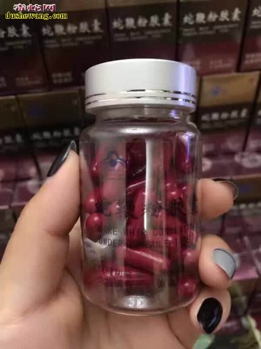 蛇鞭粉胶囊价格?哪里有卖的?