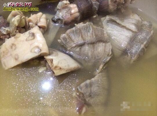 海蛇干煲汤:海蛇干煲汤怎么做好吃?