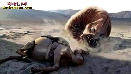 “死亡之虫”蒙古戈壁沙漠上诡异巨虫，喷射液体瞬间致人死地！