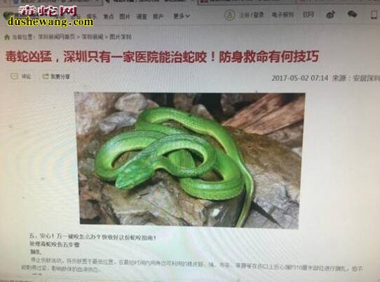 深圳蛇伤医院：深圳市中医院-13岁男孩蝰蛇咬伤治疗