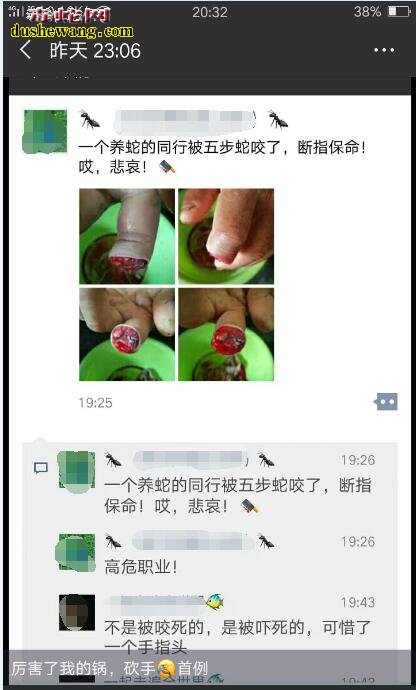 五步蛇咬伤断指保命!看似愚蠢、实则无奈!