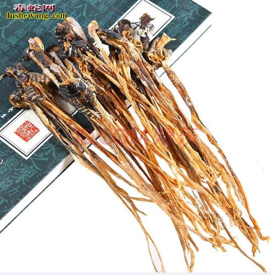 蛇鞭图片 蛇鞭是什么样子的?