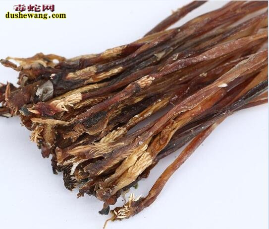 公蛇交接器 即蛇鞭图片鉴赏