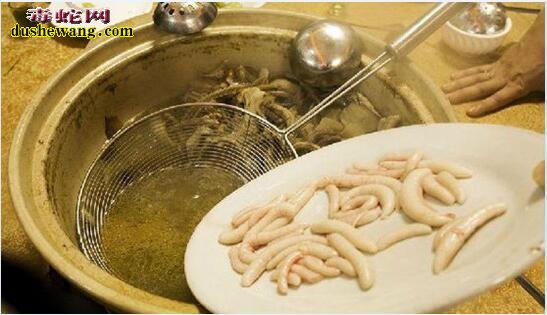记录广东蛇宴制作全过程!美味滋补但需要胆量品尝!