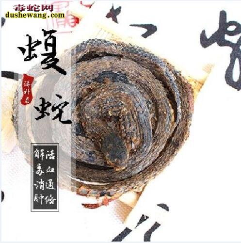 蝮蛇干图片,蝮蛇干图片大全