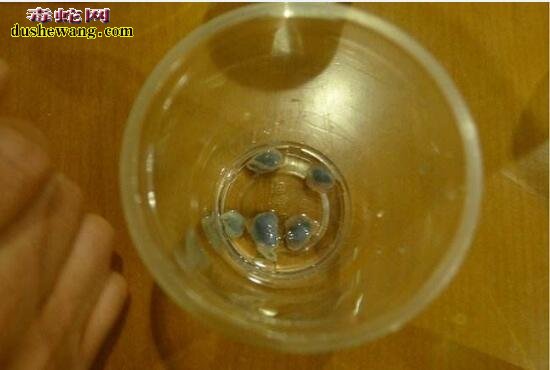 蛇胆酒图片,各种蛇胆酒图片大全