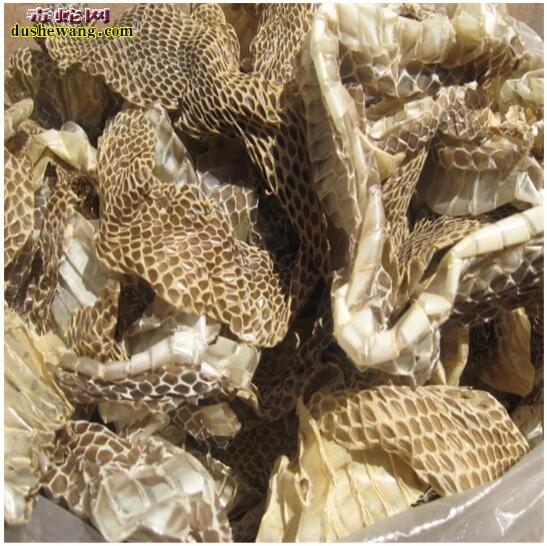 蛇蜕图片:中药蛇蜕长什么样子的?